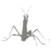 Mantis Direct Mantis Direct