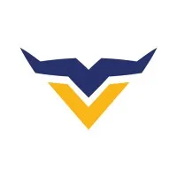 Veemi Accounting Solutions