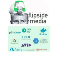 Flipside Digital Media & Data Analytics