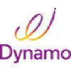 DYNAMO INFO TECHNOLOGIES LLC