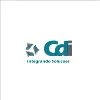 CDI - Consultoria e Informática CDI - Consultoria e Informática