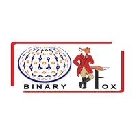 Binary Fox Services