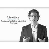 Litigare - Litigation Consulting