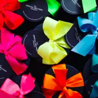 The Special Delivery Company