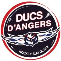 Les Ducs d'Angers