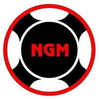 NetGain Motors, Inc. NetGain Motors, Inc.