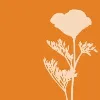 Curtis Horticulture, Inc.