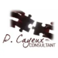CP CONSULTANT CP CONSULTANT