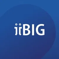 iiBIG International Institute for Business Information & Growth