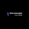 Nervescape Analytics LLP Nervescape Analytics LLP