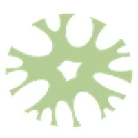 Warburton Attorneys Inc