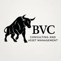 BVC Capital Group BVC Capital Group