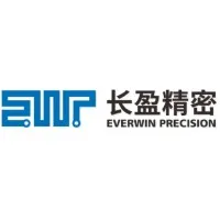 Everwin Hubble Electronics