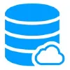 Advanced Database and IT Solutions