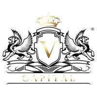 V CAPITAL GROUP V CAPITAL GROUP