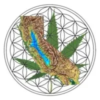 NorCal CGA (Cannabis Growers Association)