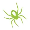 TheSpider, Inc TheSpider, Inc