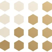 C&S Finance Group