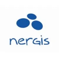 Nergis Consulting