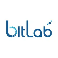 bitlabs verified emails