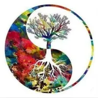 Dhyana - The Society For Consciousness And Awareness, Lady Shri Ram College For Women