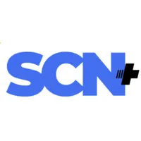 Security Consulting N+