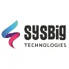 Sysbig Technologies India Pvt ltd Sysbig Technologies India Pvt ltd