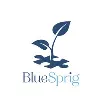 BlueSprig BlueSprig