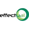 Effectual Systems Group, Inc. Effectual Systems Group, Inc.