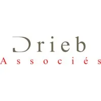 Drieb & Associés (cabinet d'expertise comptable et commissariat aux comptes)