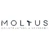Moltus Construction & Advisory