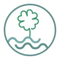 AIN - SEA AIN - SEA