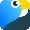 Macaw - a Product for Collaborative Work Management