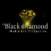 VSP - Black Diamond Media & Production Pvt. Ltd. VSP - Black Diamond Media & Production Pvt. Ltd.