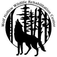 Wolf Hollow Wildlife Rehabilitation Center