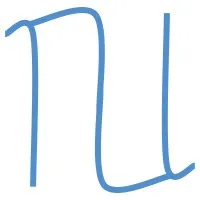 nu consulting