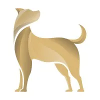 Shinyu Technologies