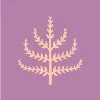 Spring & Mulberry Spring & Mulberry