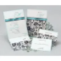 Creative Papers, Ltd.