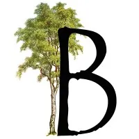 Birch Accounting & Tax Services Ltd.