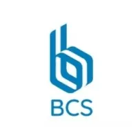 Binary Computer Systems