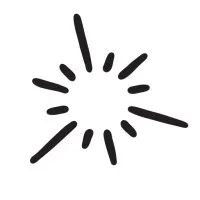 MindSpark™