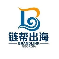 Brandlink Georgia Brandlink Georgia