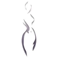 The Aesthetic Centers