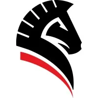 Castro Roofing of Texas