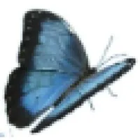 Parents and Friends, Inc. Parents and Friends, Inc.