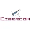 Cibernética en el siglo XXI SA de CV Cibernética en el siglo XXI SA de CV