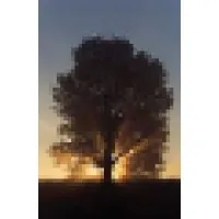 Networth Consultants Pvt.Ltd.