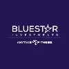 Blue Star Investments Blue Star Investments
