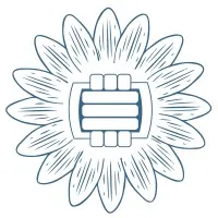 Palmer Drug Abuse Program - Houston Inc.